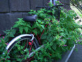 20090817125046