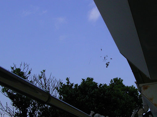 f:id:goldhead:20090824210851j:image