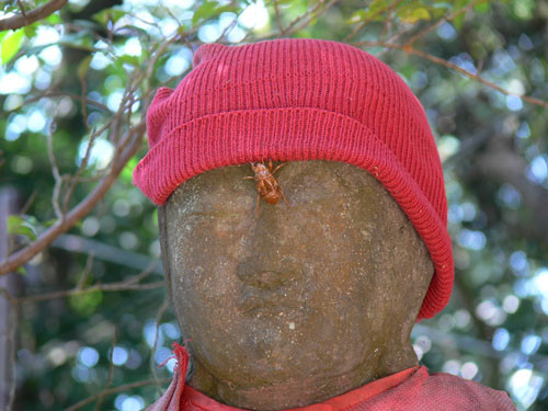f:id:goldhead:20090830131139j:image