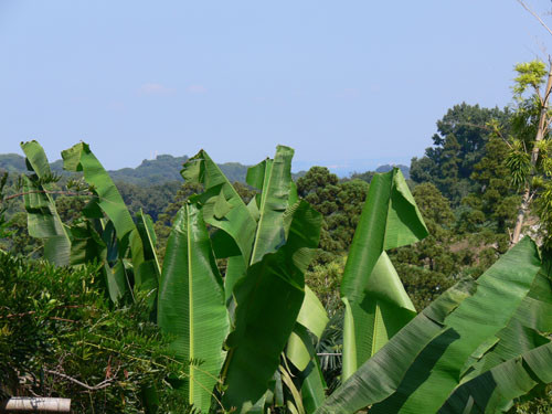 f:id:goldhead:20090830131152j:image