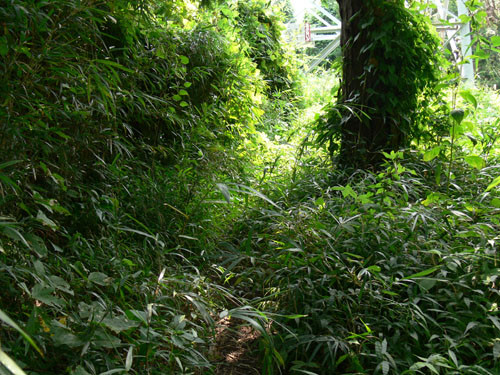 f:id:goldhead:20090831102720j:image