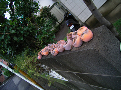 f:id:goldhead:20090903115440j:image:left