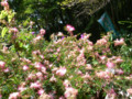 20090906213908