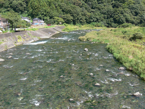 f:id:goldhead:20090913213429j:image f:id:goldhead:20090913213429j:image