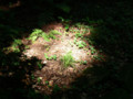 20090913213431