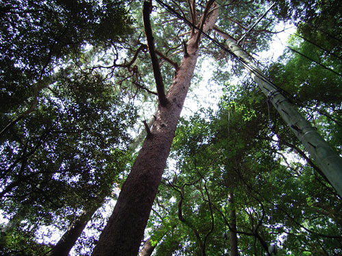 f:id:goldhead:20090919184624j:image