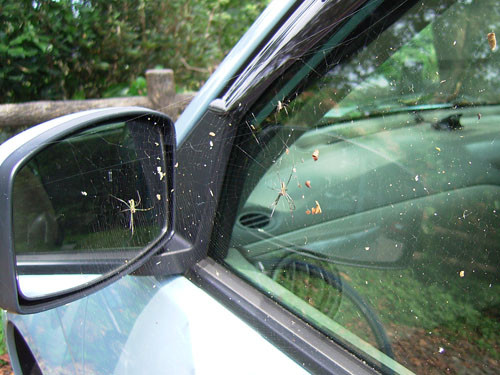 f:id:goldhead:20090919184626j:image