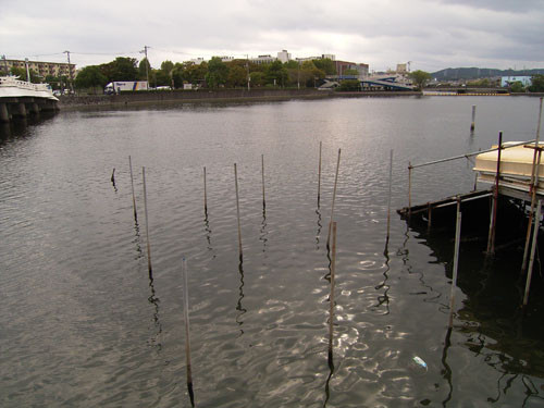 f:id:goldhead:20090921180122j:image f:id:goldhead:20090921180122j:image