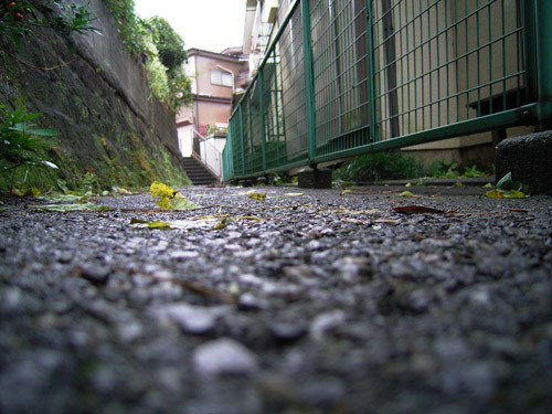 f:id:goldhead:20091008093329j:image