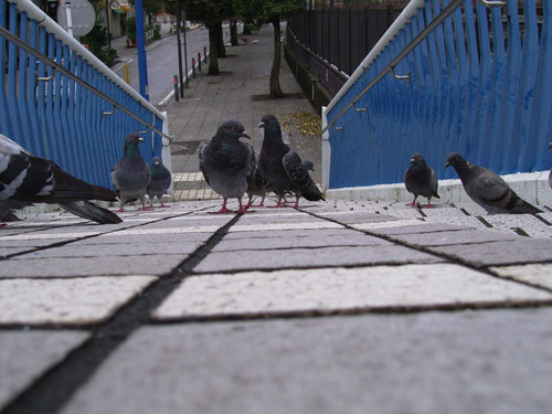 f:id:goldhead:20091008093336j:image
