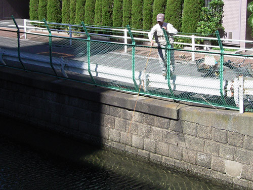 f:id:goldhead:20091013095330j:image