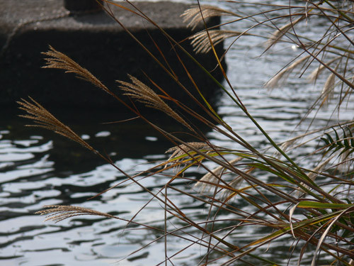 f:id:goldhead:20091019085116j:image f:id:goldhead:20091019085116j:image
