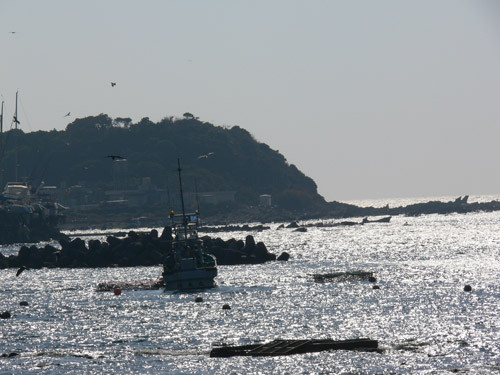 f:id:goldhead:20091019085140j:image f:id:goldhead:20091019085140j:image