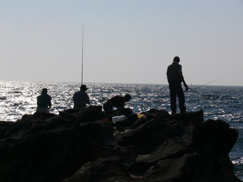 f:id:goldhead:20091019085146j:image f:id:goldhead:20091019085146j:image