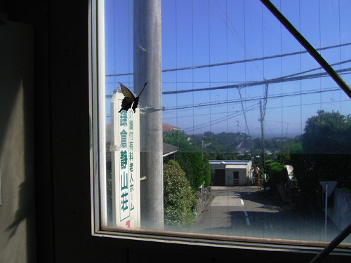 f:id:goldhead:20091020142813j:image