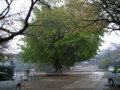 20091026130145