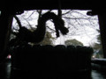 20091026130146