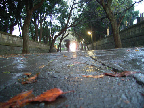 f:id:goldhead:20091026130150j:image