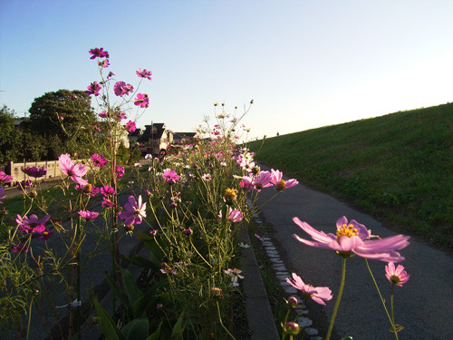 f:id:goldhead:20091104140131j:image f:id:goldhead:20091104140131j:image