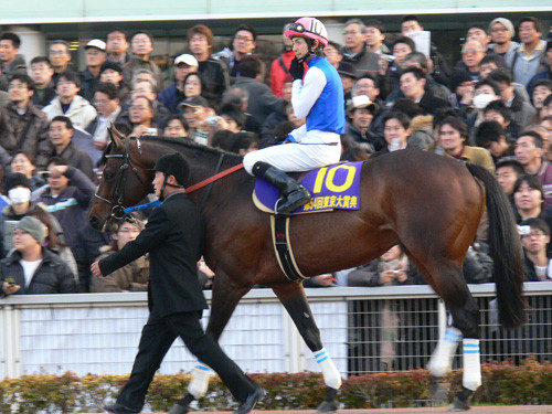 f:id:goldhead:20091106203342j:image