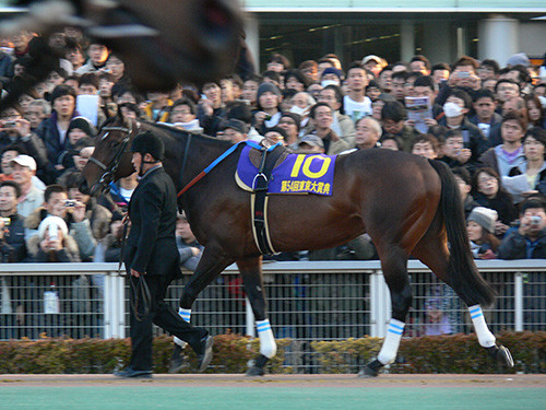 f:id:goldhead:20091106203343j:image