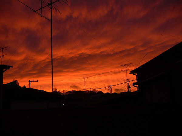 f:id:goldhead:20091115205133j:image