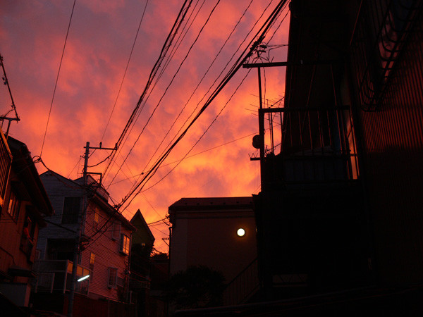 f:id:goldhead:20091115205139j:image