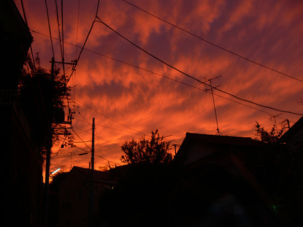 f:id:goldhead:20091115205147j:image