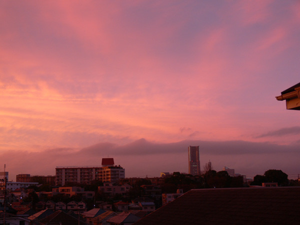 f:id:goldhead:20091115205151j:image