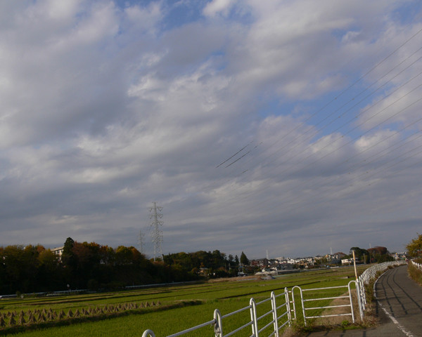 f:id:goldhead:20091128182558j:image f:id:goldhead:20091128182558j:image
