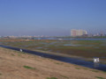 20091207155619