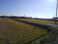 20091207155636