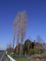 20091207155637