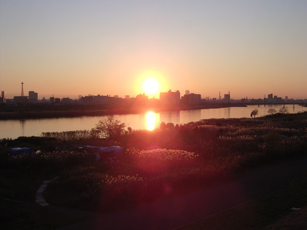 f:id:goldhead:20091207155649j:image f:id:goldhead:20091207155649j:image