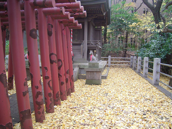 f:id:goldhead:20091215125005j:image