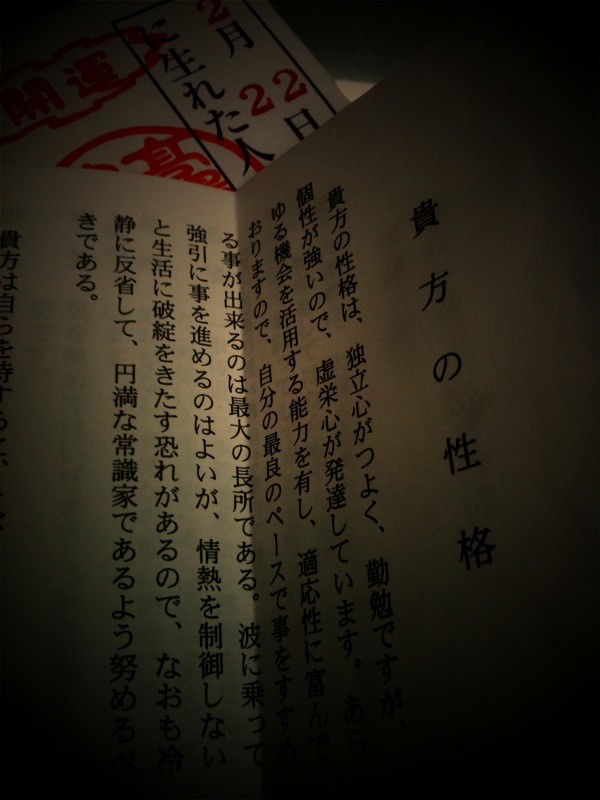f:id:goldhead:20100101165746j:image