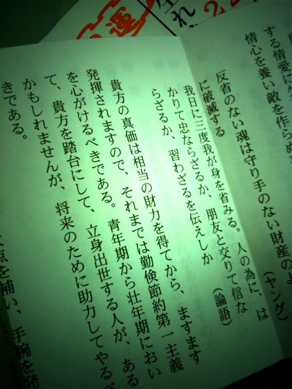 f:id:goldhead:20100101165747j:image