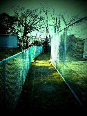 f:id:goldhead:20100110210750j:image f:id:goldhead:20100110210750j:image