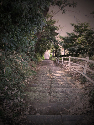 f:id:goldhead:20100110210751j:image f:id:goldhead:20100110210751j:image