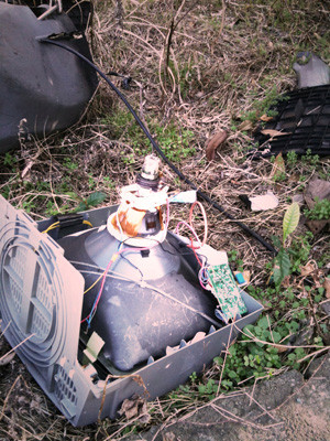 f:id:goldhead:20100110210809j:image f:id:goldhead:20100110210809j:image