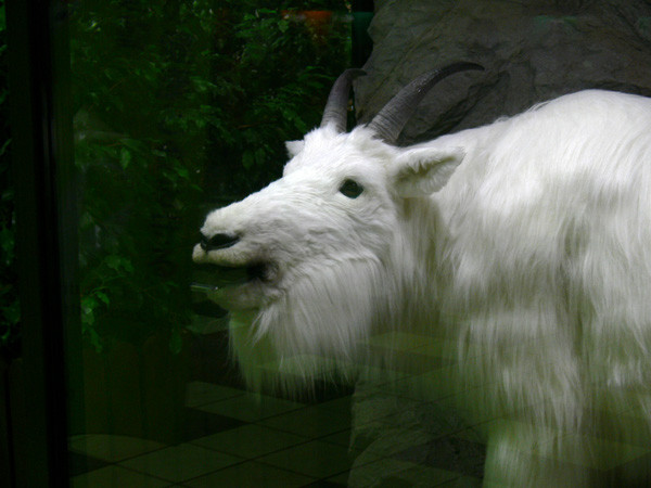 f:id:goldhead:20100112173008j:image f:id:goldhead:20100112173008j:image