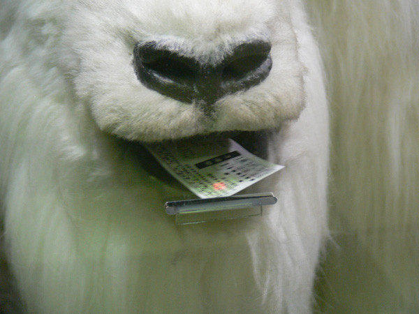 f:id:goldhead:20100112173010j:image f:id:goldhead:20100112173010j:image