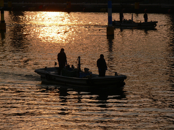 f:id:goldhead:20100112173024j:image f:id:goldhead:20100112173024j:image