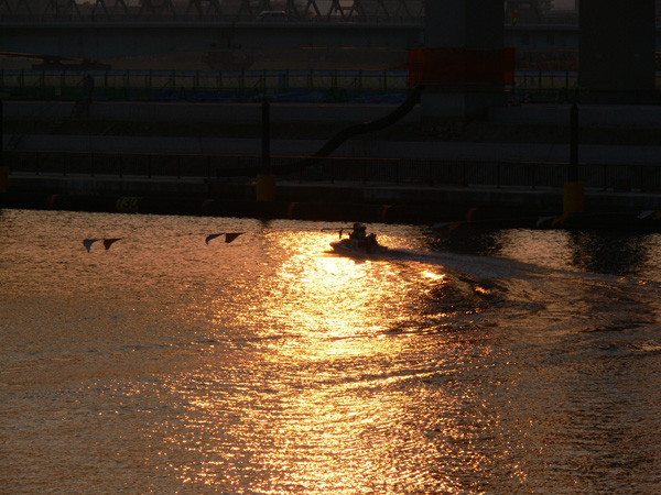 f:id:goldhead:20100112173026j:image f:id:goldhead:20100112173026j:image