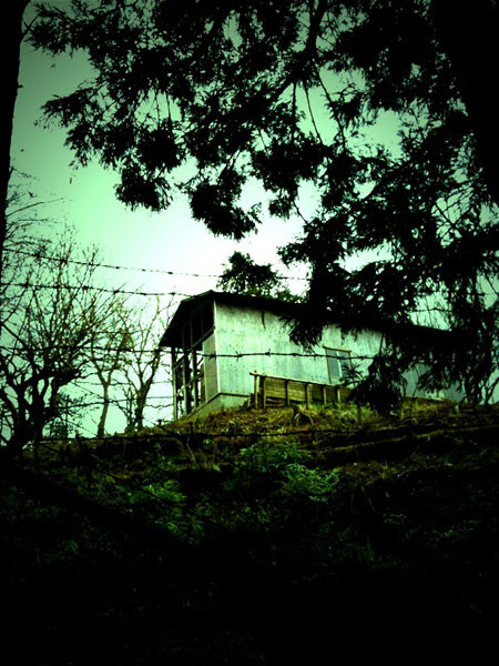 f:id:goldhead:20100118132249j:image f:id:goldhead:20100118132249j:image