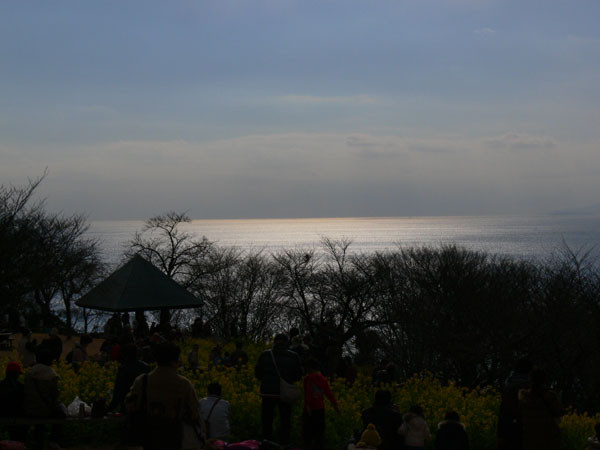 f:id:goldhead:20100118132307j:image f:id:goldhead:20100118132307j:image