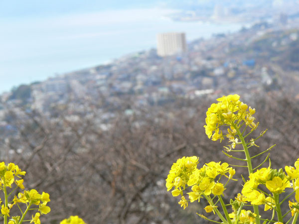 f:id:goldhead:20100118132308j:image f:id:goldhead:20100118132308j:image