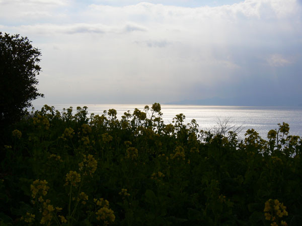 f:id:goldhead:20100118132311j:image f:id:goldhead:20100118132311j:image