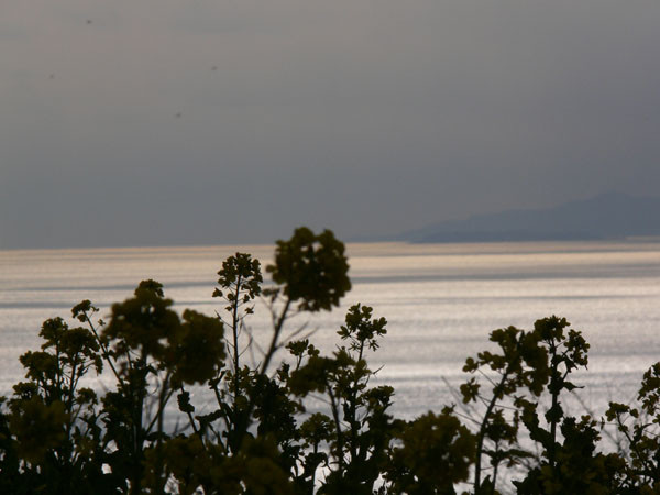 f:id:goldhead:20100118132312j:image f:id:goldhead:20100118132312j:image