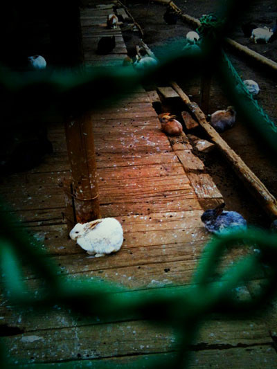 f:id:goldhead:20100118185642j:image f:id:goldhead:20100118185642j:image